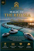Magic of the Red Sea at InterContinental Shura Island | 3 Days Luxury Escape Package